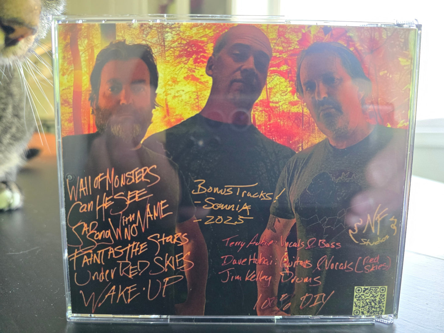 CD - Through a Mournful Song w/Bonus tracks - US shipping only